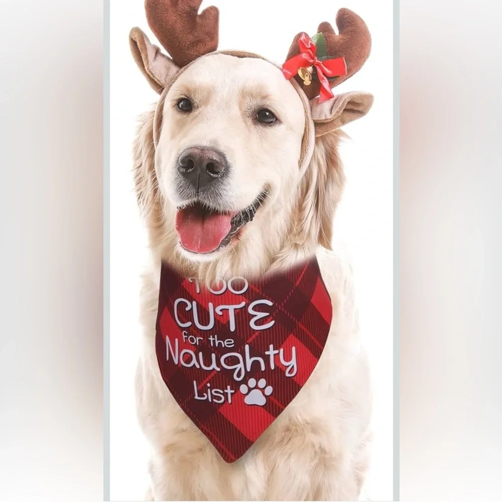 Set Of 2 Christmas Bandana For Medium To Large Dog Pet Christmas Plaid Scarfs